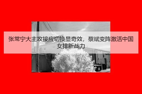 zhang-chang-ning-da-zhu-gong-jie-ying-qie-huan-xian-qi-xiao-cai-bin-bian-zhen-ji-huo-zhong-guo-nv-pai-xin-zhan-li-2-781.jpg