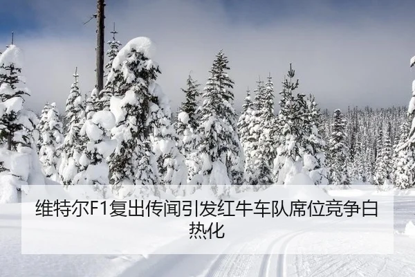 wei-te-er-fu-chu-chuan-wen-yin-fa-hong-niu-che-dui-xi-wei-jing-zheng-bai-re-hua-2-681.jpg