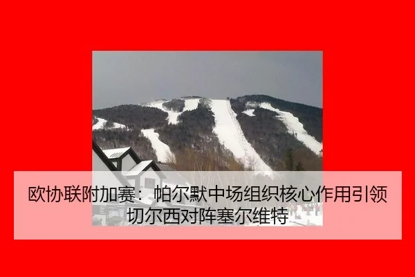 ou-xie-lian-fu-jia-sai-pa-er-mo-zhong-chang-zu-zhi-he-xin-zuo-yong-yin-ling-qie-er-xi-dui-zhen-sai-er-wei-te-2-298.jpg