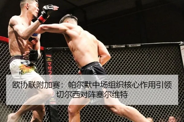 欧协联附加赛：帕尔默中场组织核心作用引领切尔西对阵塞尔维特