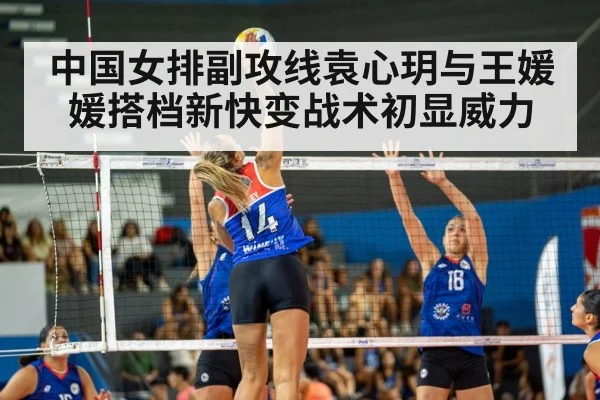 volleyball match action