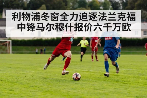 利物浦冬窗全力追逐法兰克福中锋马尔穆什报价六千万欧